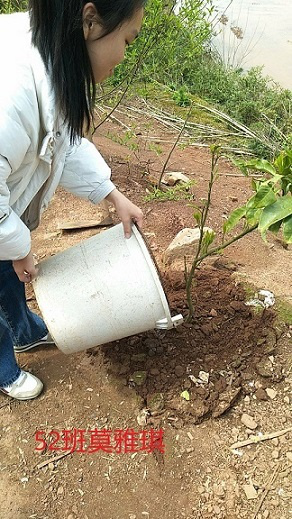 衡陽市蒸湘區(qū)仁愛實驗中學|衡陽全日制|全寄宿|全封閉|半月假制初級中學