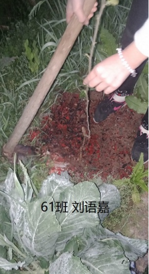 衡陽市蒸湘區(qū)仁愛實驗中學|衡陽全日制|全寄宿|全封閉|半月假制初級中學